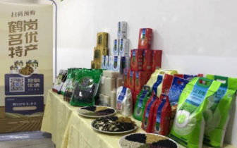 攜手共進促消費 龍騰鶴崗迎新春——鶴崗市新春年貨節暨名優產品展示系列活動正式啟動